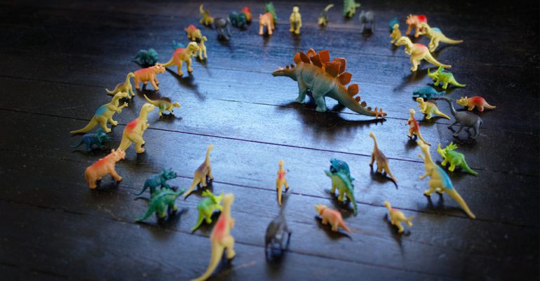 شبکه سازی حرفه ای